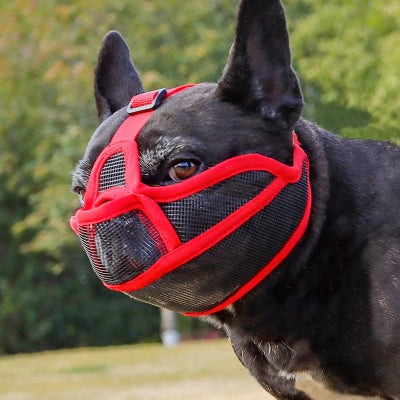 muselière bouledogue francais respirante rouge 