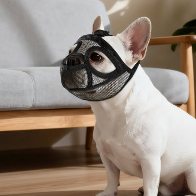 museliere bouledogue respirante confort aux balades chien assis au salon