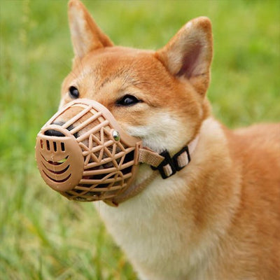 Muselière Cage beige ajustable en plein air