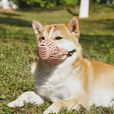 Muselière Cage fière et confortable sur la pelouse