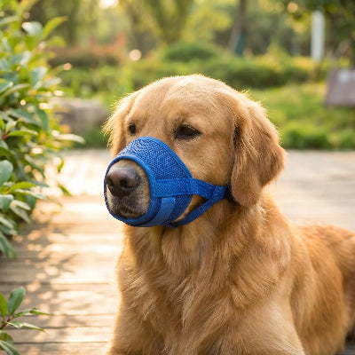 muselière chien confortable maille respirante bleu 