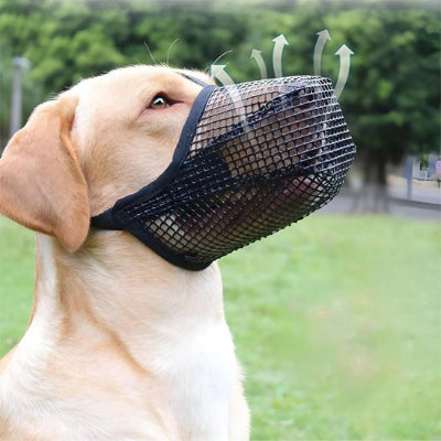 Muselière chien confortable pour respirer
