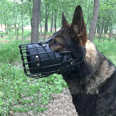 museliere chien cuir noir au milieu la foret