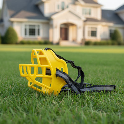 museliere chien jaune sur le gazon maison