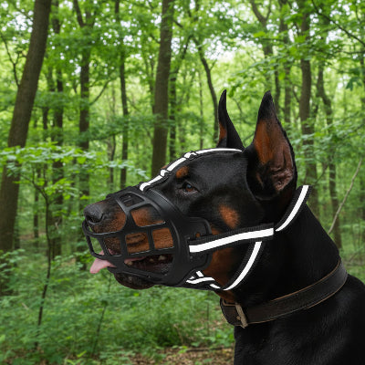 museliere chien noir foret confortable ajuster