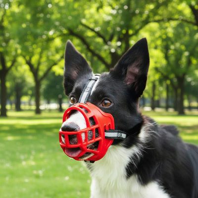museliere chien rouge bien ajustable parc arbres