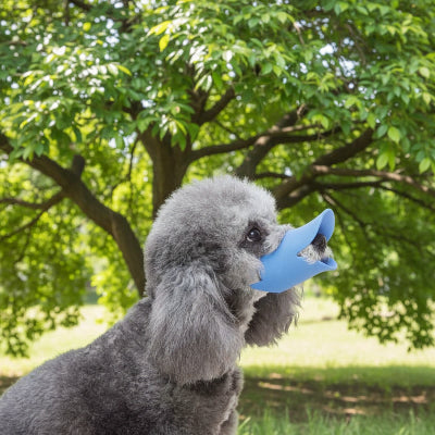 muselière chiot confort silicone bleu