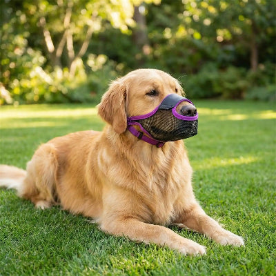 muselière chiot parfait ajustement violet chien couche sur une pelouse 