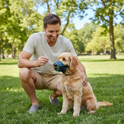 muselière chiot sécuritaire et efficace maître a côté chien au parc lui sourit
