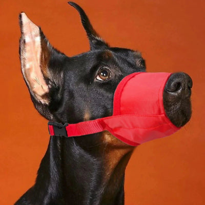 muselière chiot ventilée ajustable rouge