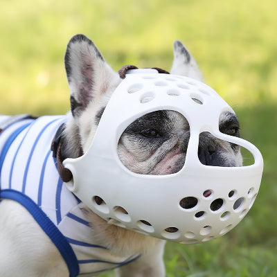 museliere noire chien marche sur du gazon