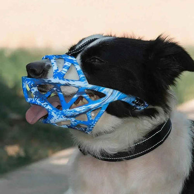 museliere pour chien camo bleu dans la nature