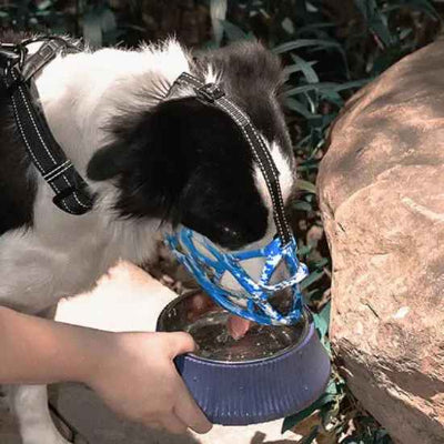 museliere pour chien camo boire eau mains maitre