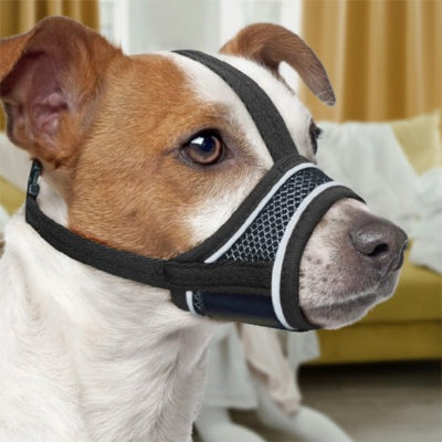 Muselière pour chien noir confortable au salon