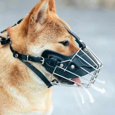 Muselière pour chien noir le confort pour la respiration