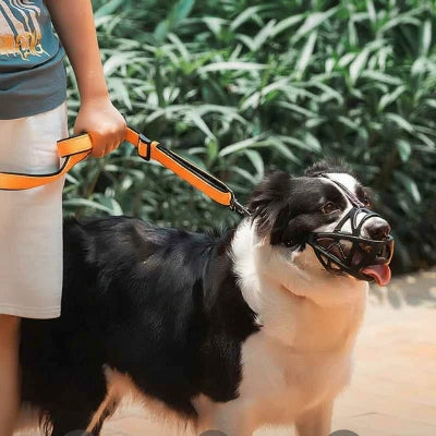 museliere pour chien noir marche avec son maitre