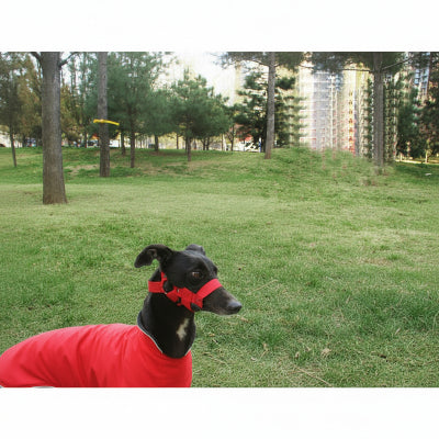 muselière pour chiot ajustable et ventilée  rouge
