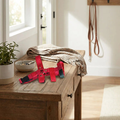 muselière pour chiot ajustable ventilée sur   table rentrée