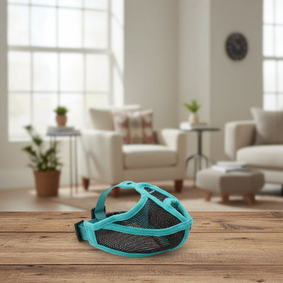 
muselière pour chiot brachiconfort sur un planché en bois dans un salon
