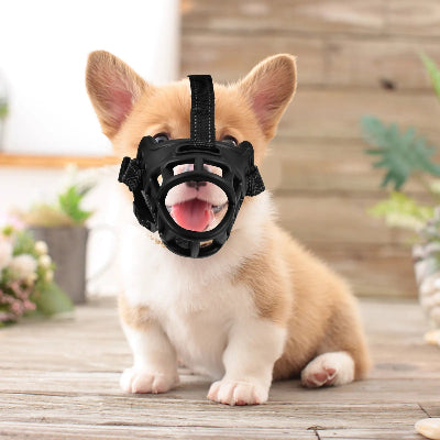 muselière pour chiot confort tpr chien assis
