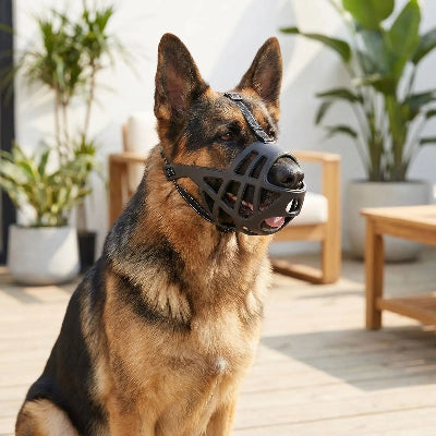 muselière pour chiot evolutive reglable chien assis