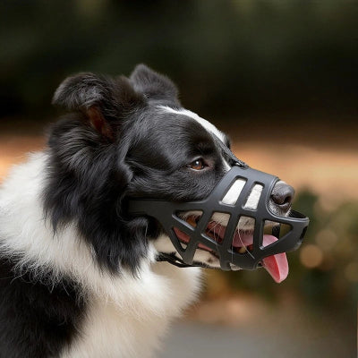 muselière pour chiot evolutive reglable 