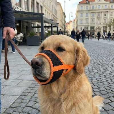 muselière pour chiot facile à ajuster orange centre ville