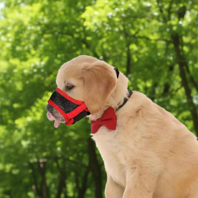 muselière pour chiot facile à ajuster