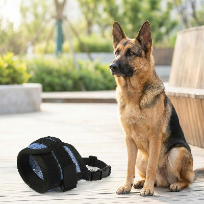 muselière pour chiot protection morsure bleu chien assis 