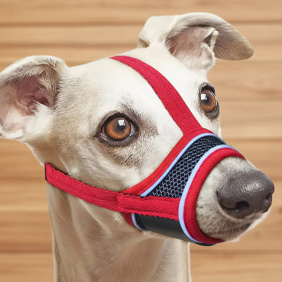 muselière pour chiot qualité ajustable 
