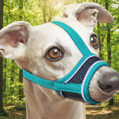 muselière pour chiot qualité  ajustable bleu foret

