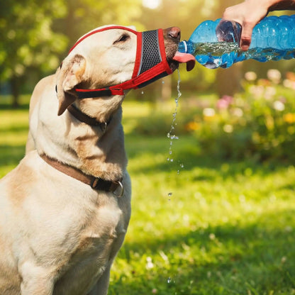 muselière pour chiot qualité ajustable maitre eau dans la bouche chien sur pelouse

