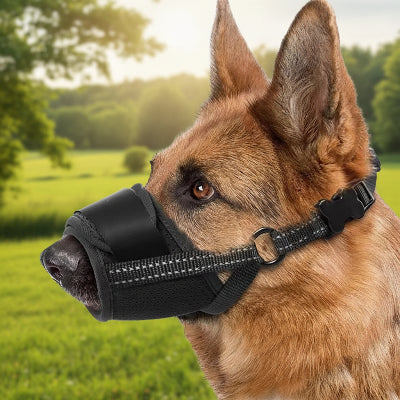 muselière pour chiot respiration confort noir beau paysage 

