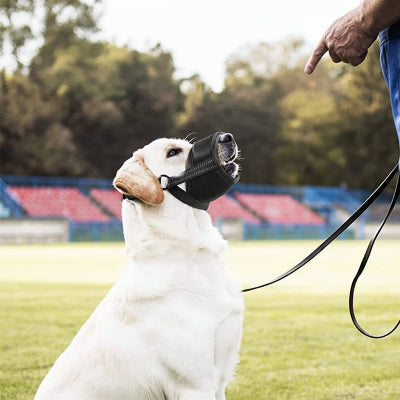 muselière pour chiot respiration confort noir sur un terrain devant son maitre
