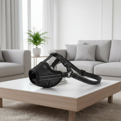 muselière pour chiot respiration confort noir sur une table salon
