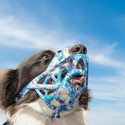 
muselière pour chiot silicone ajustable bleu camouflage chien sous un beau ciel
