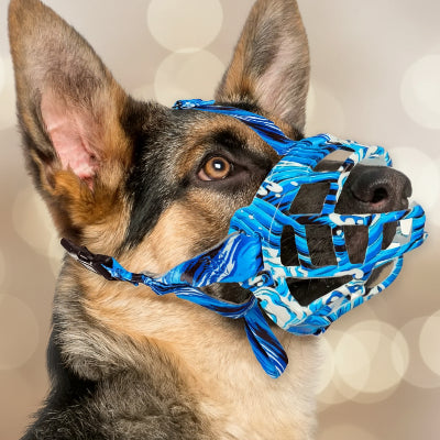 muselière pour chiot silicone et bienveillante bleu blanc  