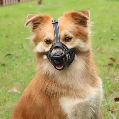 muselière pour chiot souple et ajustable chien assis sur la pelouse