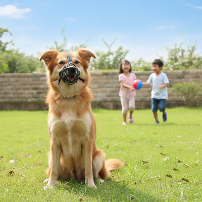 museliere pour chiot souple et ajustable chien confortable deux enfants jouent