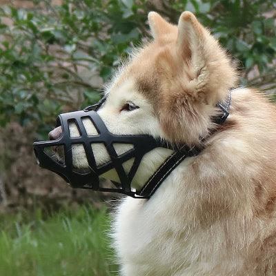muselière pour chiot souple et ajustable