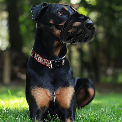 muselière pour Yorkshire légère et confortable noir chien sur pelouse
