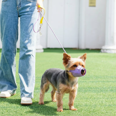 muselière pour yorkshire sécurité au quotidien violet chien et maitre
