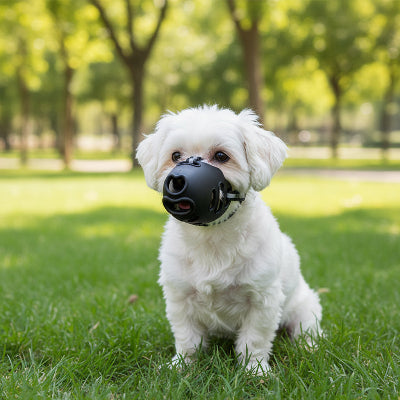 muselière yorkshir-protection-ajustable-chien-assis