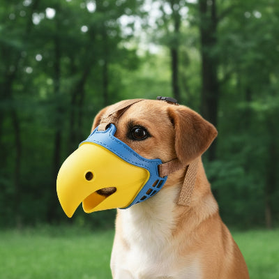 muselière yorkshire silicone promenades rassurantes chien dehors en nature 