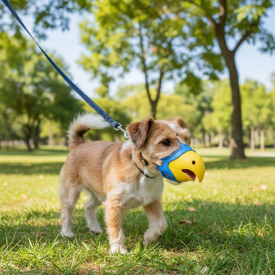 muselière yorkshire silicone promenades rassurantes chien promene au parc 