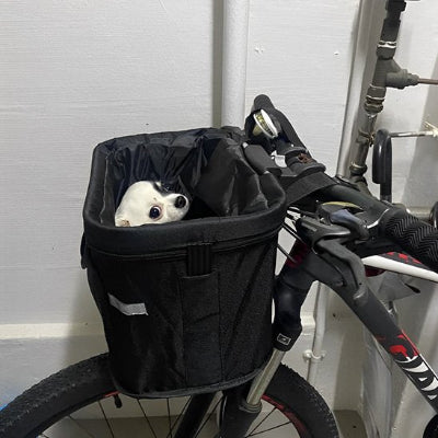 Panier velo chien sécuritaire chiot