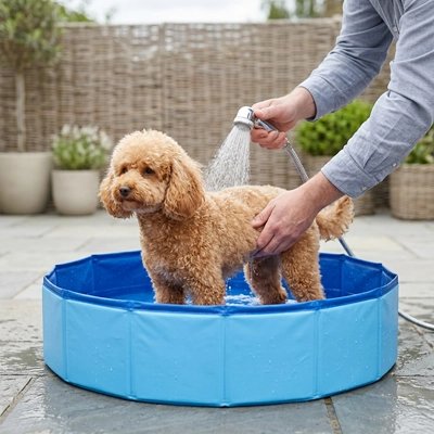 Piscine pour Chien maître donne une douche a son chien