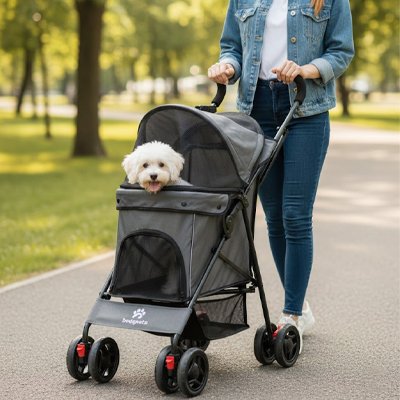 Poussette chien dans la poussette sur un parc pousse par son maitre