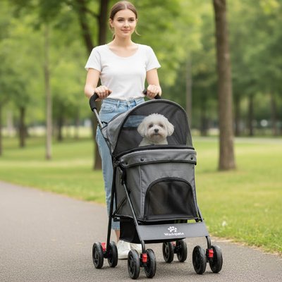 Poussette chien gris chien assis dans la poussette maitre pousse dans un parc