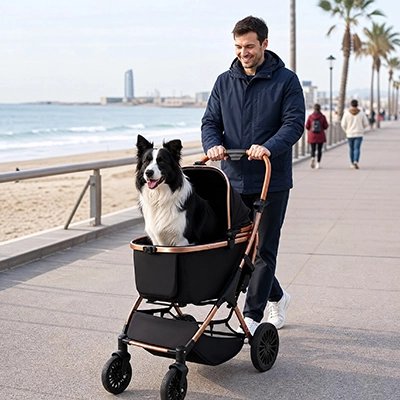 Poussette pour Chien maître se promène au bord de l eau
